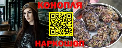 крисы Кимры