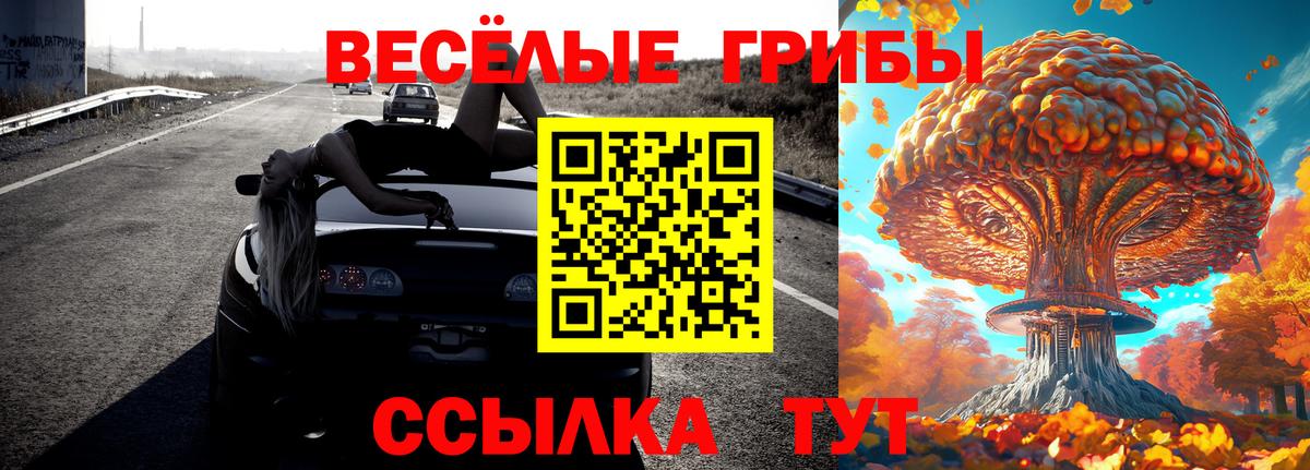 Кинель  Галлюциногенные грибы GOLDEN TEACHER  Галлюциногенные грибы Magic Shrooms  Вход с VPN 